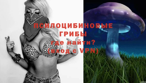 прущая мука Арсеньев